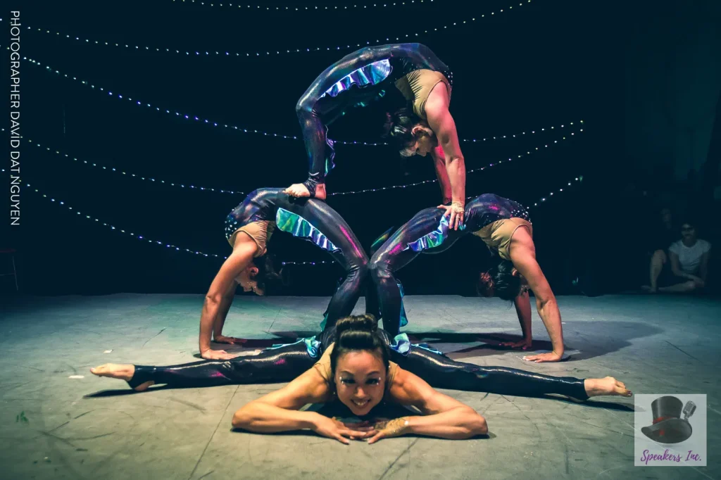 The Dahlias: Aerial Contortionists