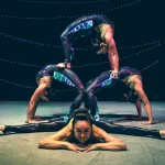 The Dahlias: Aerial Contortionists