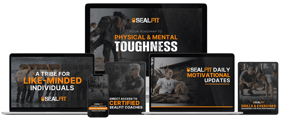 Sealfit Online