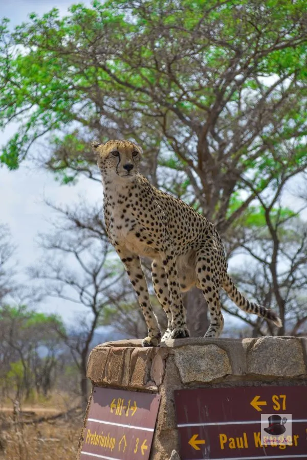 Change Virtual Keynote - Image 04 (April 24, 2026)