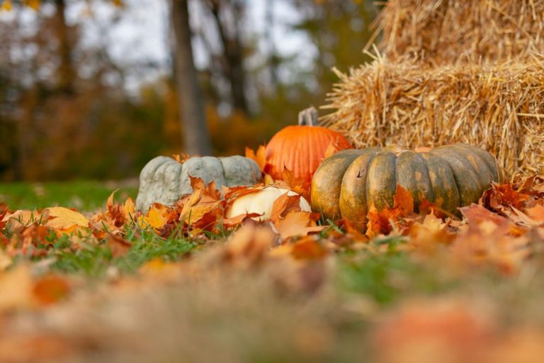 8 Women to Celebrate this October
