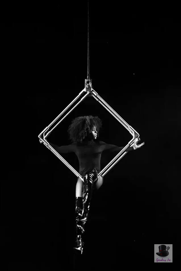 Darielle Williams: Aerialist Performer