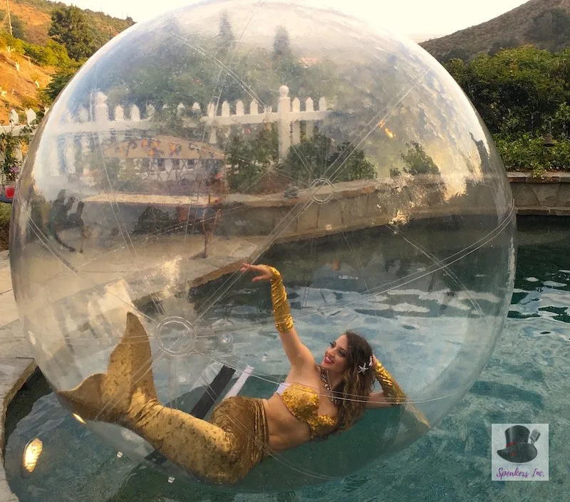 Mermaids - Image 01 (January 29, 2026)