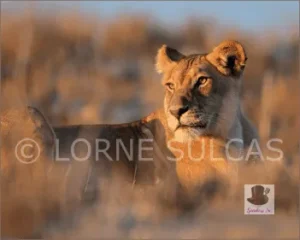 Change Virtual Keynote - Image 05 (April 24, 2026)